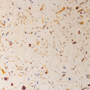 Tapety Organoid